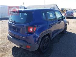 جيب رينيجيد